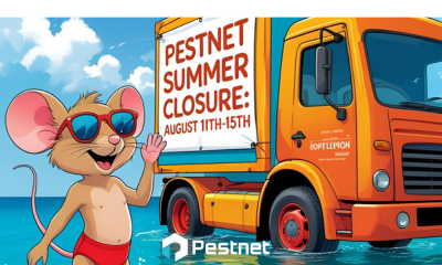 News sito web x px ()