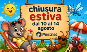 News sito web x px ()