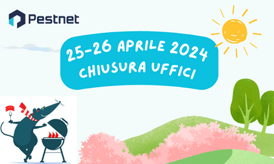 News sito web x px ()