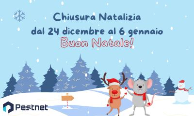 News sito web x px ()