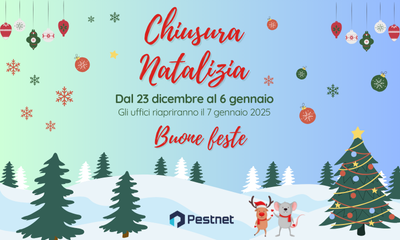 News sito web x px ()