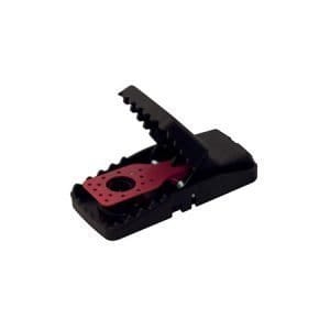 Snap trap topi giogo rosso rid