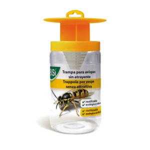 trappola vespe sito